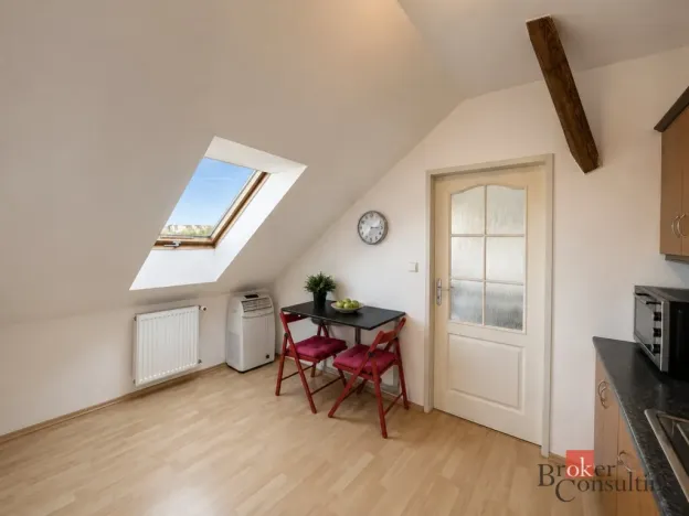Prodej bytu 1+1, Plzeň - Východní Předměstí, Francouzská třída, 39 m2