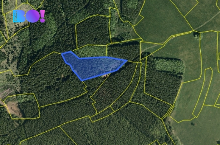 Prodej lesa, Huslenky, 6240 m2