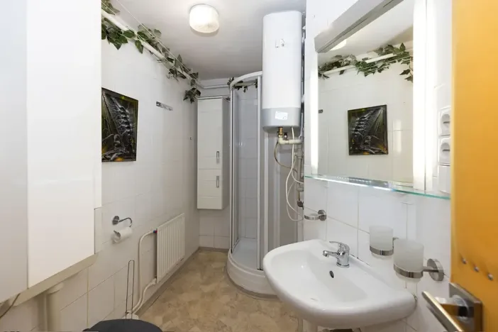 Pronájem bytu 2+kk, Opava, Mánesova, 48 m2
