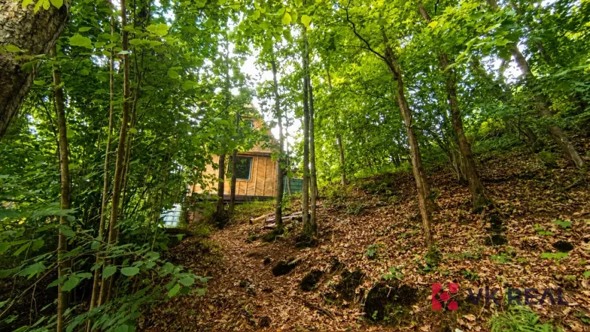 Prodej chaty, Hromnice - Planá, 58 m2