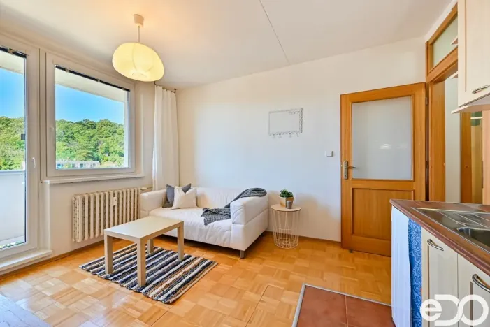 Pronájem bytu 1+1, Brno, Vychodilova, 42 m2