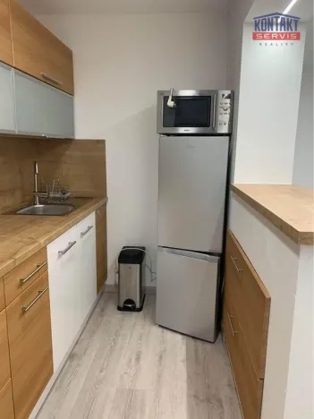 Pronájem bytu 2+kk, České Budějovice, Boršovská, 52 m2