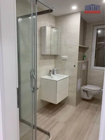 Pronájem bytu 2+kk, České Budějovice, Boršovská, 52 m2