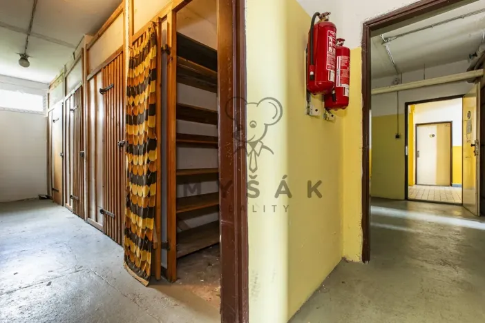 Prodej bytu 2+1, České Budějovice - České Budějovice 2, Emy Destinové, 61 m2