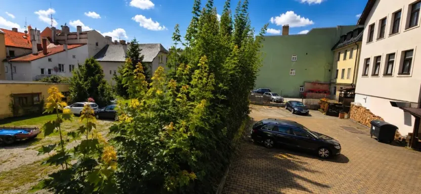 Pronájem bytu 3+1, Jihlava, Palackého, 75 m2