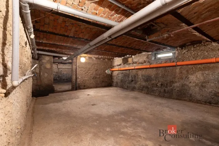 Prodej rodinného domu, Opava - Suché Lazce, Přerovecká, 358 m2