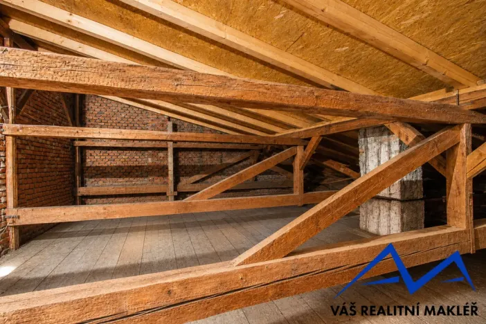 Prodej rodinného domu, Bílovec, Mlýnská, 242 m2
