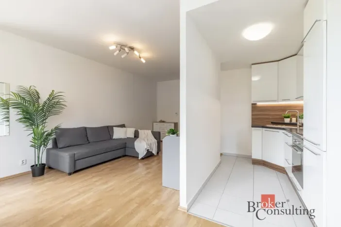 Prodej bytu 1+kk, Brno - Starý Lískovec, U Leskavy, 43 m2