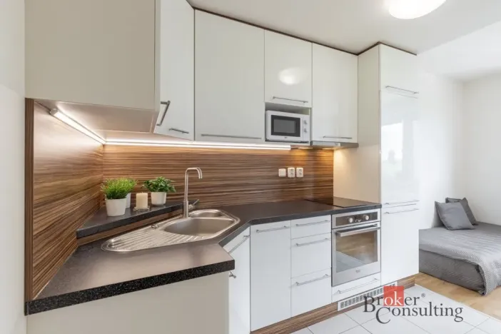 Prodej bytu 1+kk, Brno - Starý Lískovec, U Leskavy, 43 m2