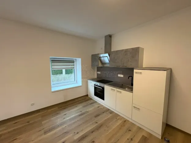 Pronájem bytu 1+kk, Doloplazy, 46 m2