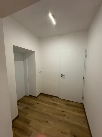 Pronájem bytu 1+kk, Doloplazy, 46 m2