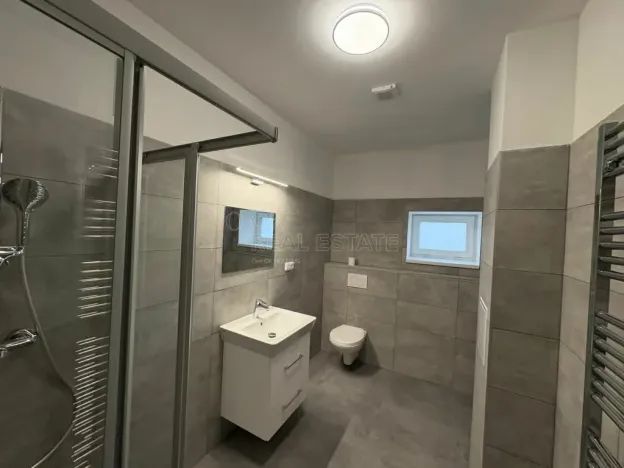 Pronájem bytu 1+kk, Doloplazy, 46 m2