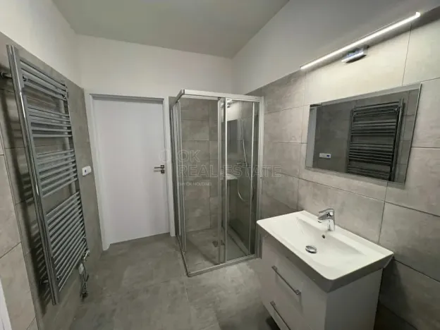 Pronájem bytu 1+kk, Doloplazy, 46 m2