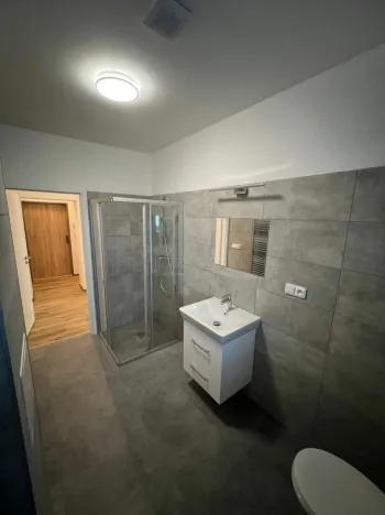 Pronájem bytu 1+kk, Doloplazy, 46 m2