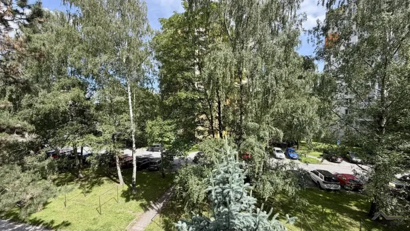 Prodej bytu 2+1, Orlová - Lutyně, Masarykova třída, 63 m2