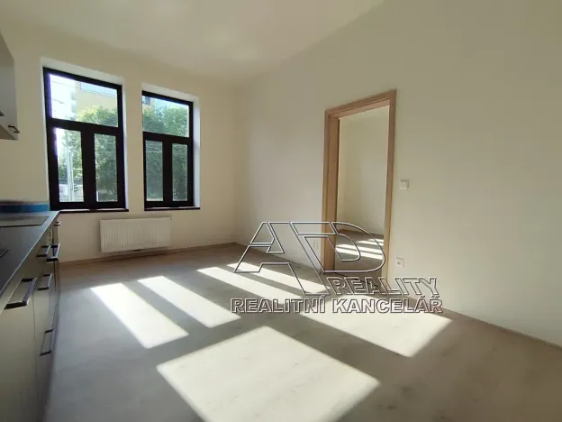 Pronájem atypického bytu, České Budějovice, Fráni Šrámka, 65 m2