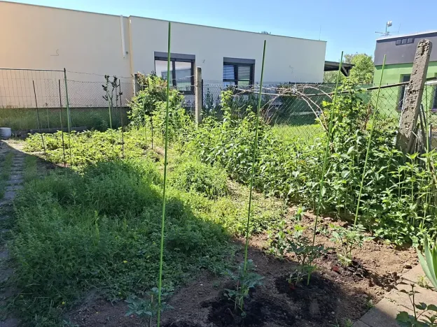 Prodej bytu 3+1, Veselí nad Moravou, Tyršova, 75 m2