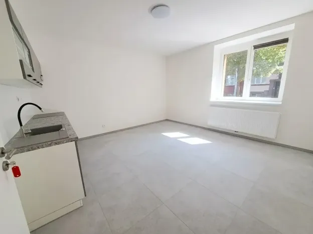 Pronájem bytu 1+1, Plzeň, Mánesova, 45 m2