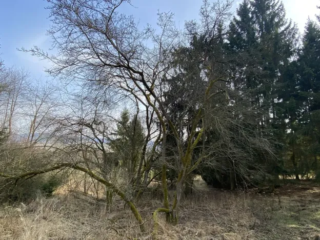 Prodej pozemku, Městečko Trnávka - Lázy, 384 m2