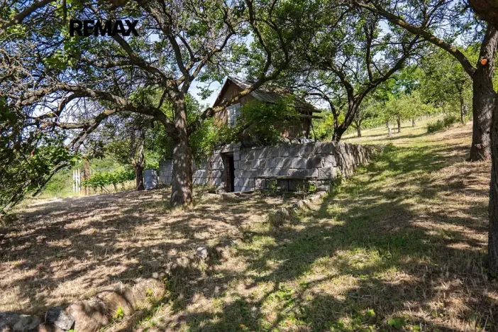 Prodej sadu/vinice, Moravské Bránice, 2403 m2