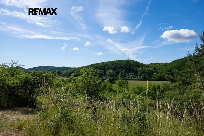 Prodej sadu/vinice, Moravské Bránice, 2403 m2