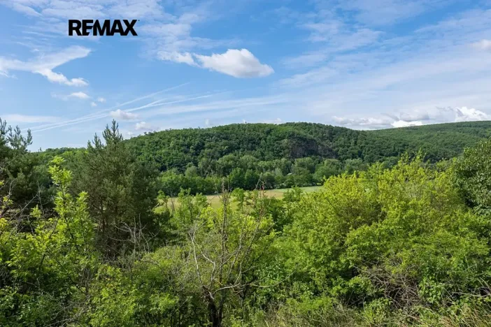 Prodej sadu/vinice, Moravské Bránice, 2403 m2