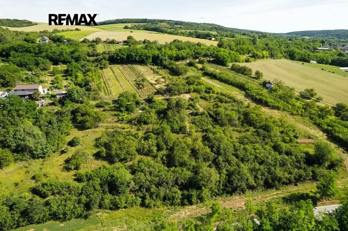 Prodej sadu/vinice, Moravské Bránice, 2403 m2