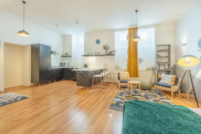 Pronájem bytu 1+kk, Praha - Vinohrady, Mánesova, 53 m2
