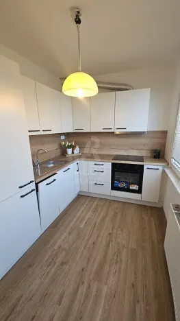 Pronájem bytu 3+1, České Budějovice, Fr. Ondříčka, 71 m2