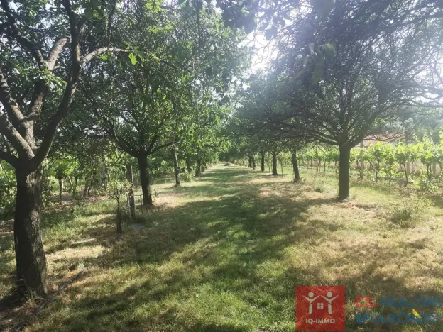 Prodej pozemku pro bydlení, Hnanice, 3609 m2
