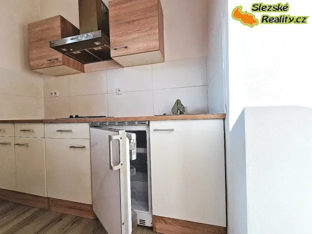 Pronájem bytu 1+kk, Ostrava, Krakovská, 22 m2