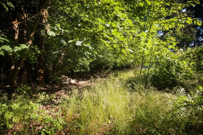Prodej pozemku pro bydlení, Příbram - Příbram II, U Václava, 1419 m2