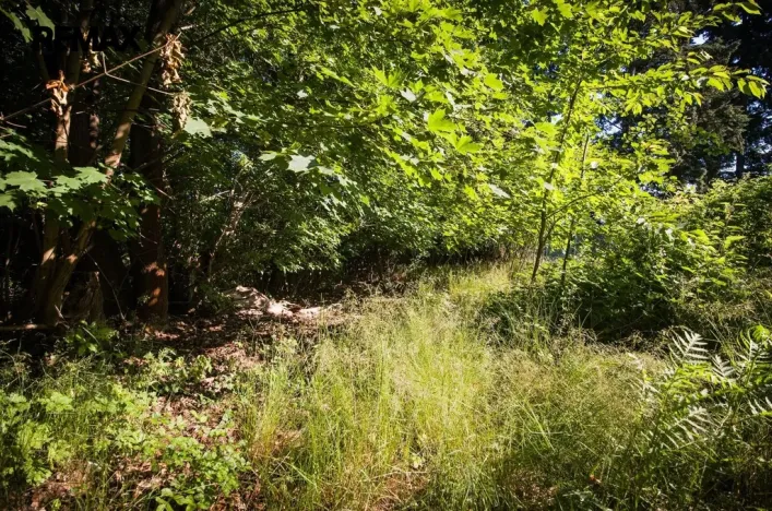 Prodej pozemku pro bydlení, Příbram - Příbram II, U Václava, 1419 m2