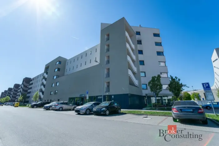 Prodej bytu 3+kk, Brno - Slatina, Řípská, 105 m2