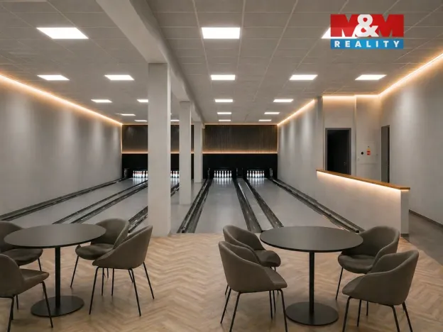 Prodej obchodního prostoru, Okrouhlo, 1076 m2