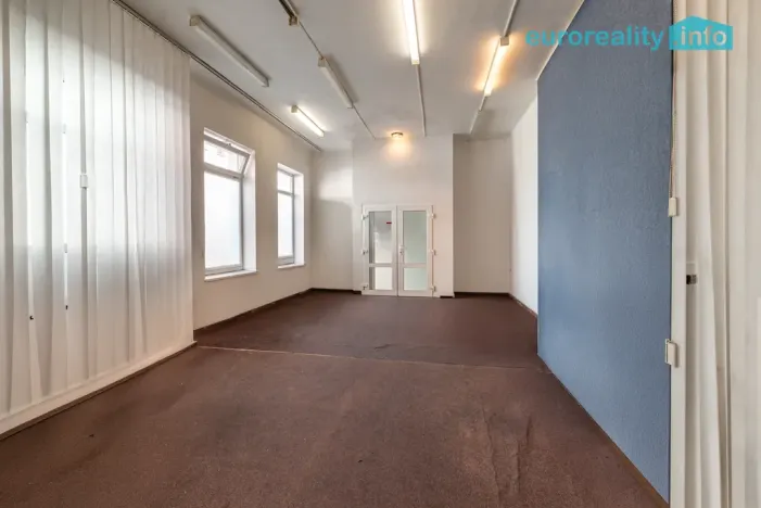 Prodej vícegeneračního domu, Sokolov, U Divadla, 360 m2
