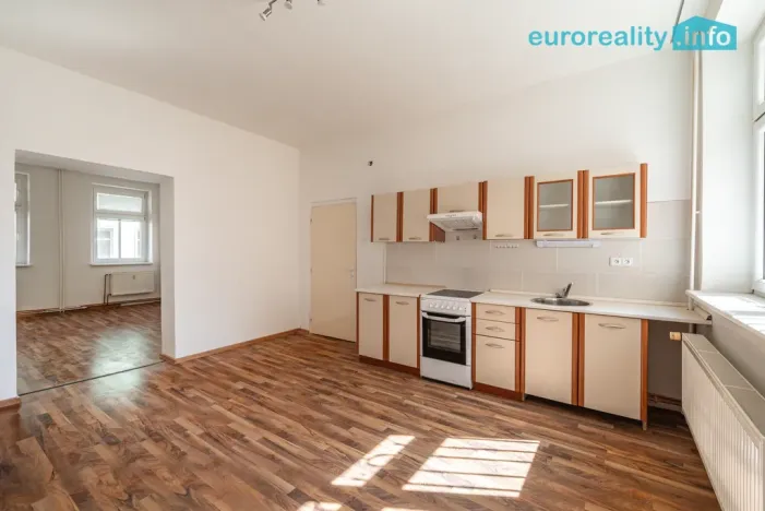 Prodej vícegeneračního domu, Sokolov, U Divadla, 360 m2