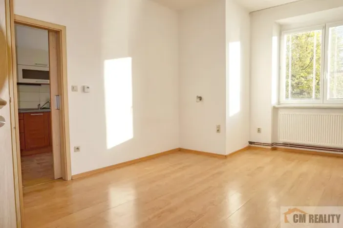 Pronájem bytu 1+1, Prostějov, Šárka, 43 m2
