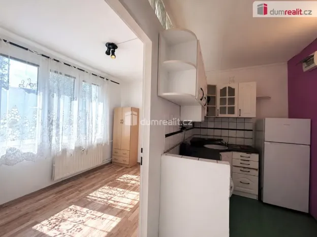 Prodej bytu 1+1, Sokolov, Alšova, 37 m2