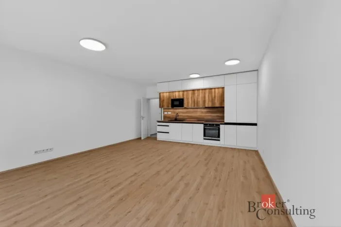 Pronájem bytu 2+kk, Plzeň - Jižní Předměstí, Železná, 63 m2