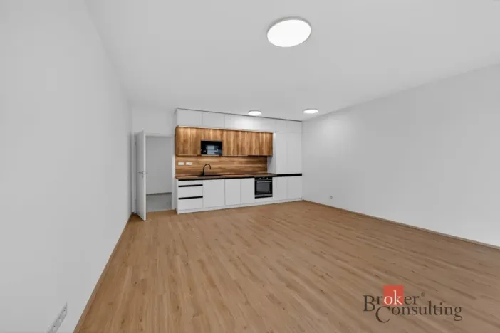 Pronájem bytu 2+kk, Plzeň - Jižní Předměstí, Železná, 63 m2