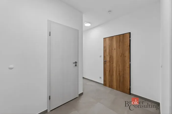 Pronájem bytu 2+kk, Plzeň - Jižní Předměstí, Železná, 63 m2