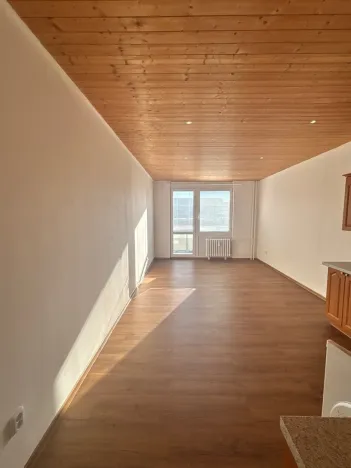 Pronájem bytu 1+kk, Hradec Králové, Brožíkova, 30 m2