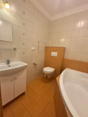 Pronájem bytu 1+kk, Hradec Králové, Brožíkova, 30 m2