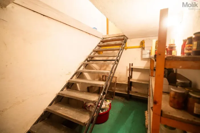 Prodej vícegeneračního domu, Chomutov, Krátká, 270 m2