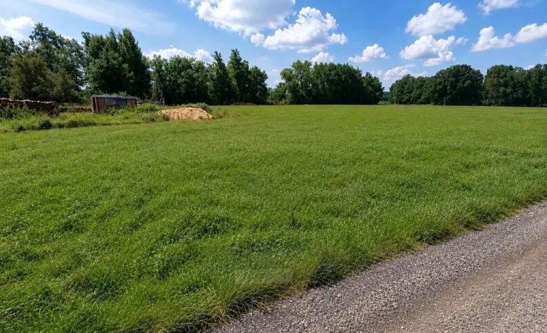 Prodej zahrady, Dubné - Třebín, 723 m2