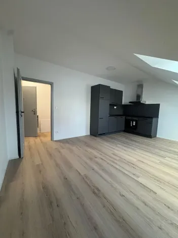 Pronájem bytu 1+kk, České Budějovice, Rudolfovská tř., 30 m2