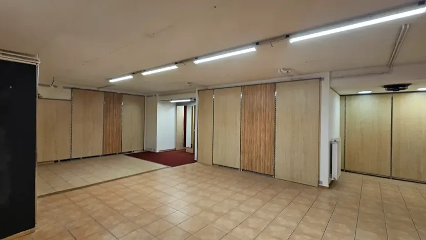 Pronájem obchodního prostoru, Brno, Masarykova, 504 m2