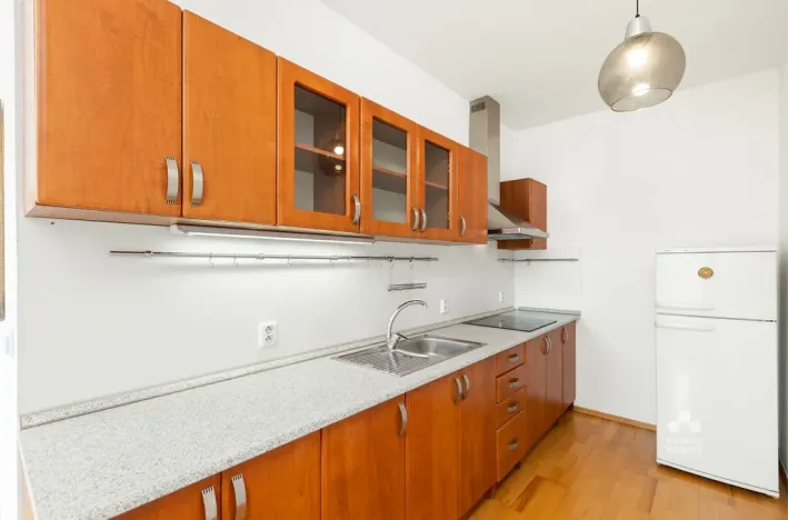 Pronájem bytu 1+kk, Praha - Podolí, Dvorecká, 55 m2