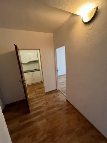 Prodej bytu 2+1, Nové Město na Moravě, Masarykova, 46 m2
